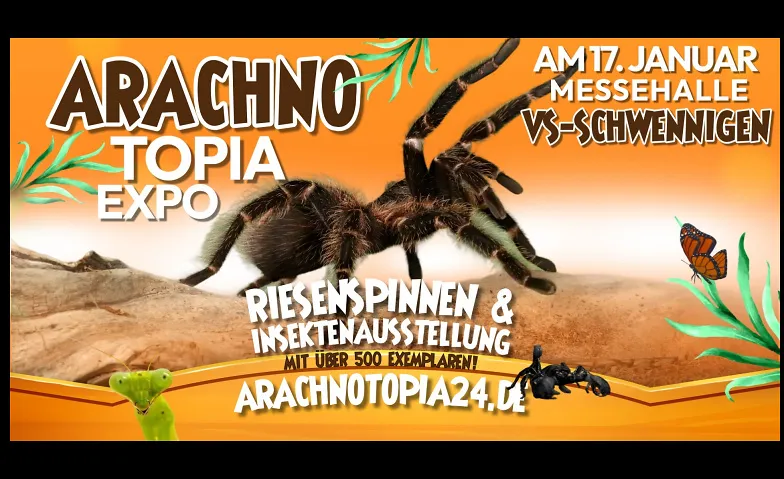 Arachnotopia - Spinnen & Insektenausstellung VS-Schwenningen