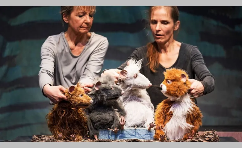 Die Muskeltiere