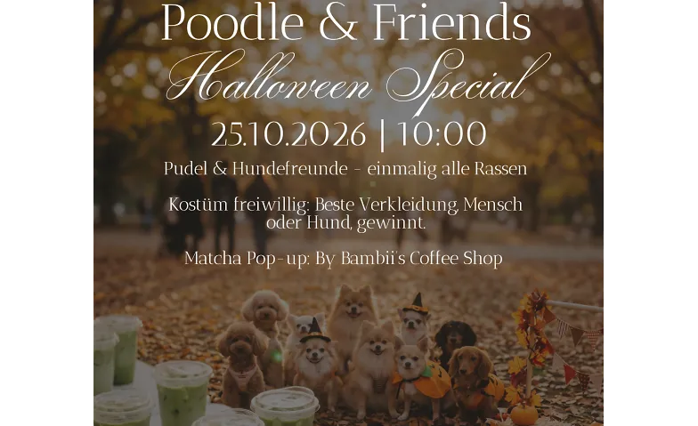 Poodle & Friends Halloween Special: Einmalig für alle Rassen
