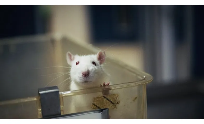 Future Science - Das Ende der Tierversuche?