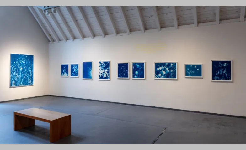 Frauen-Kunst-Club: Was der Augenblick bewahrt