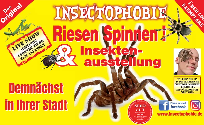 Insectophobie Riesenspinnen & Insekten