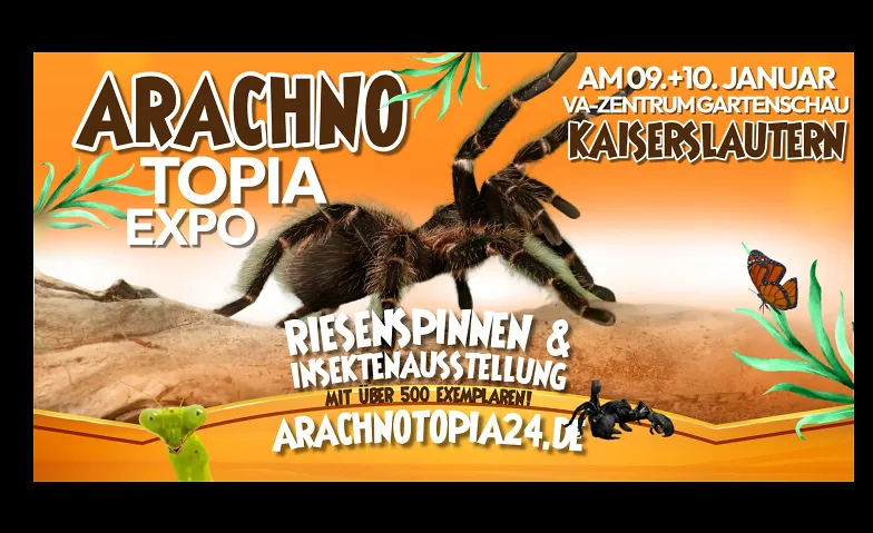 Arachnotopia - Spinnen & Insektenausstellung Kaiserslautern