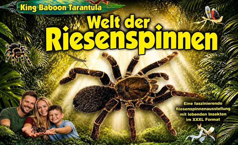 Welt der Riesenspinnen