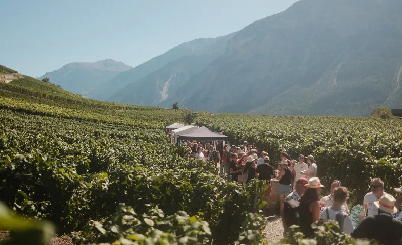 Weinwanderung - Balade des Vins - Wine Walk - Salgesch 2027
