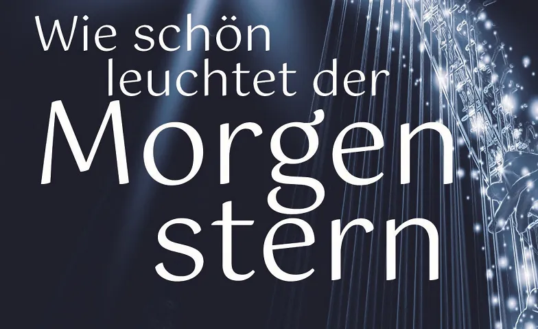VOCALISTI «Weihnachtskonzert 2026»