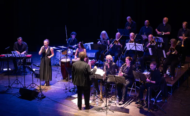 Rhein-Neckar Jazz-Orchester - Back from Italy