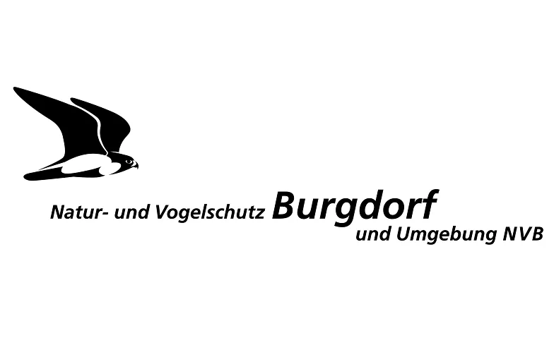 Burgdorf und die letzte Eiszeit - von Christian Schlüchter