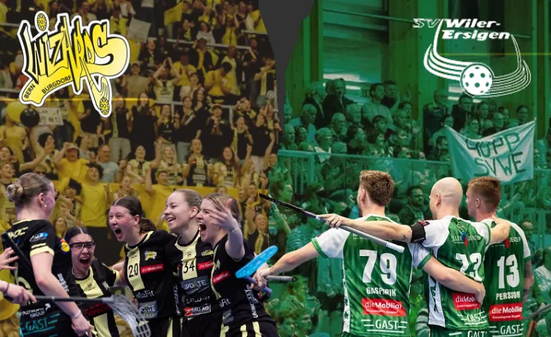 Cup Wizards vs. Basel Regio (mit Option Combi-Ticket Wiler)