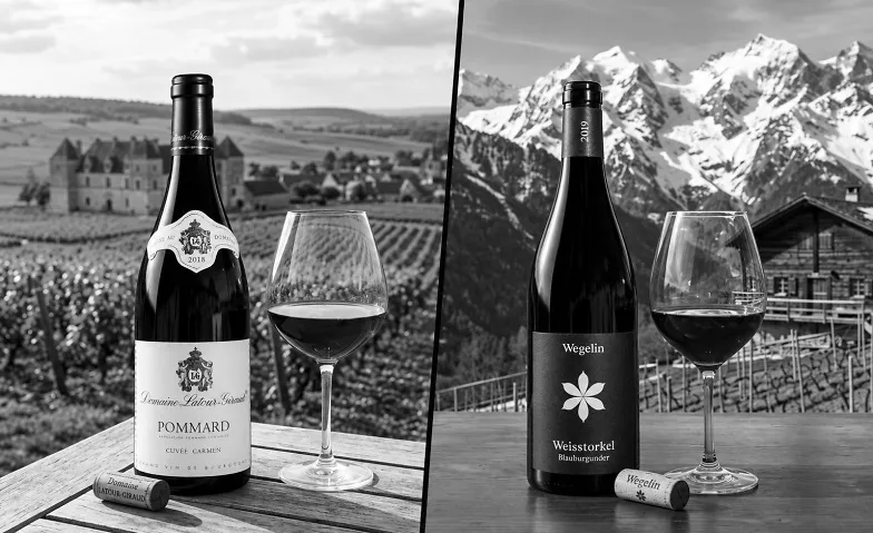 BOURGOGNE VS. GRAUBÜNDEN