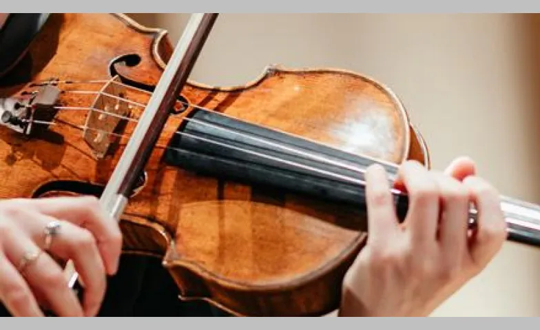 Violine im Fokus