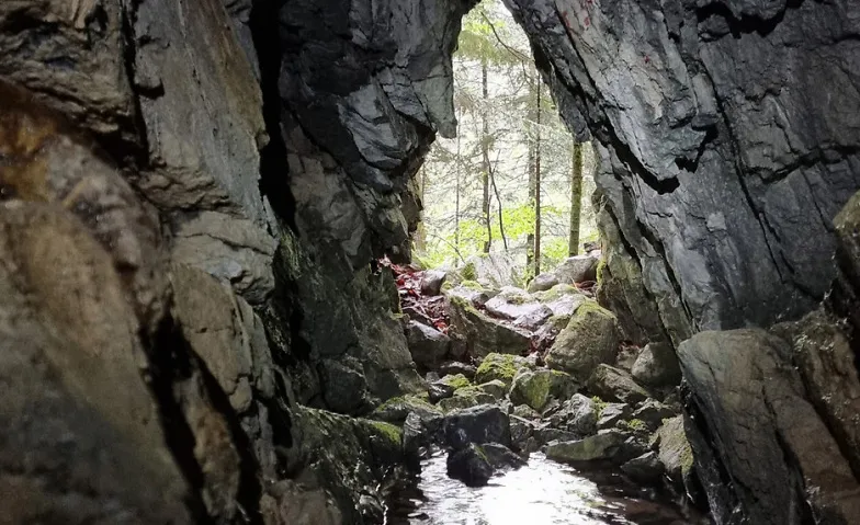 BirdLife Vortrag: Geheimnisvolles Leben im Karst-Untergrund