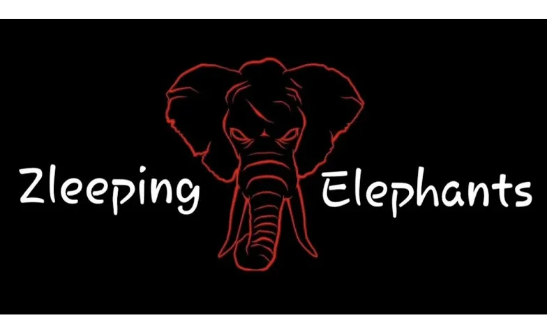 Zleeping Elephants & support