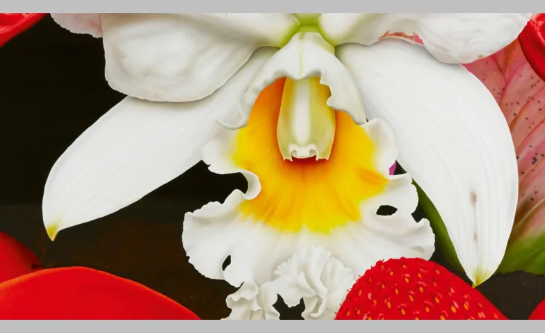Vernissage - Ausstellung "En Fleur"