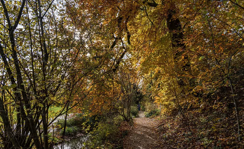 Gartenrundgang