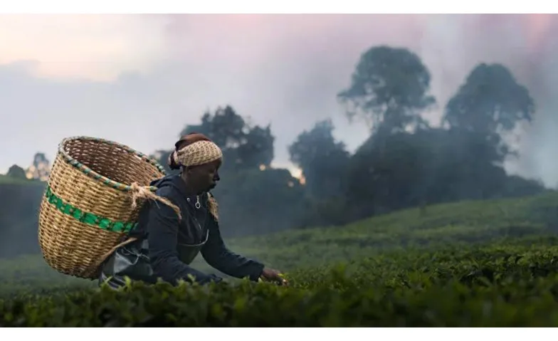 Kikuyu Land