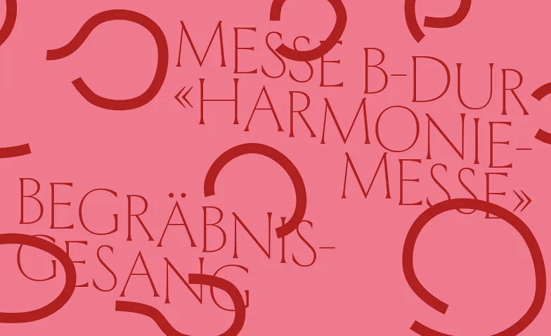 Schola Cantorum Wettingensis, Haydn und Brahms