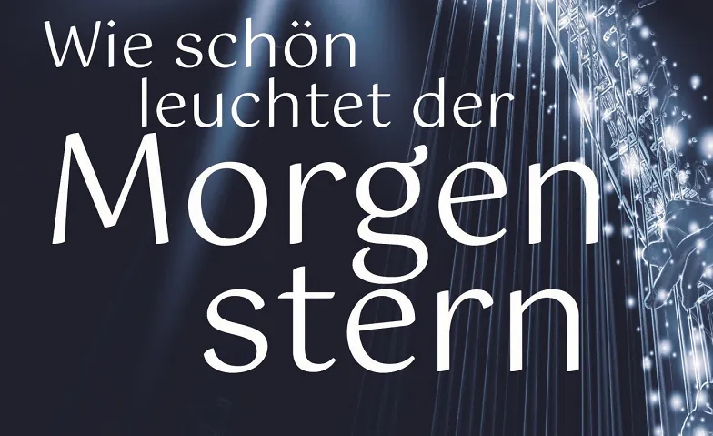 VOCALISTI «Weihnachtskonzert 2026»