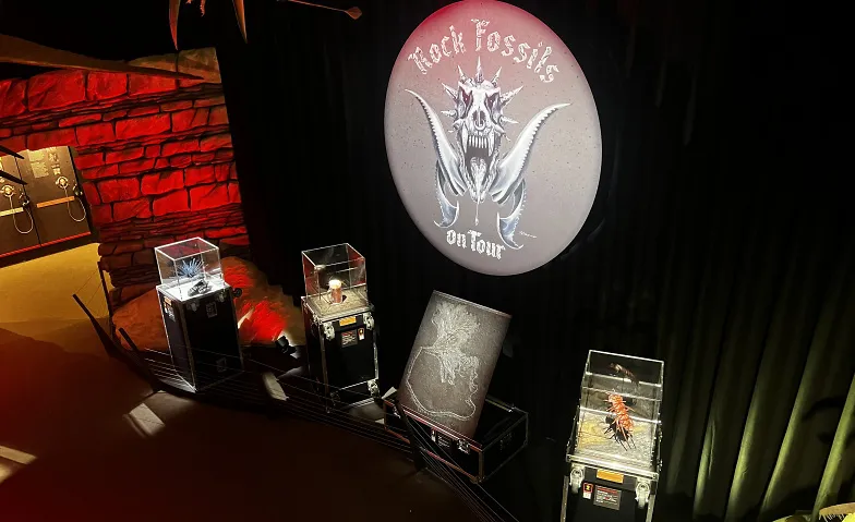 Exklusive Führung: Rock Fossils on Tour mit Nils Knötschke