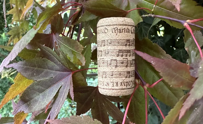 Weinklang I - Portugal: Ein Glas voller Lieder