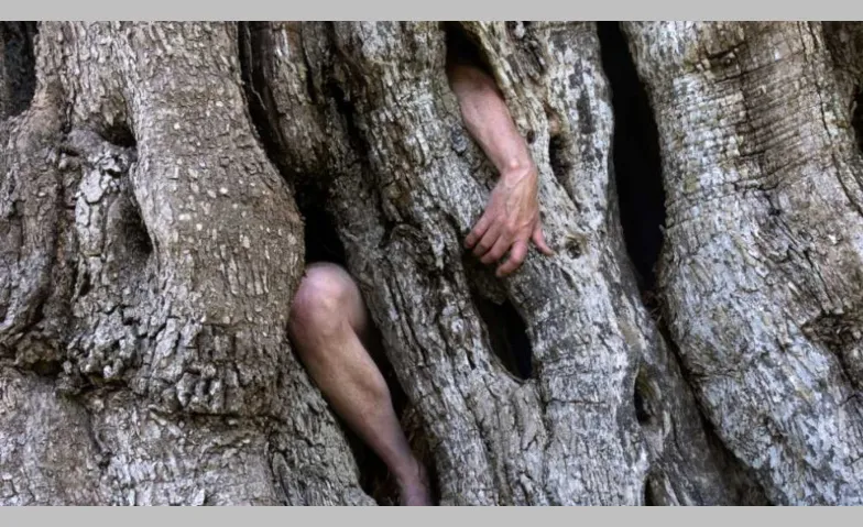 Simon Faithfull: Acts of Entanglement