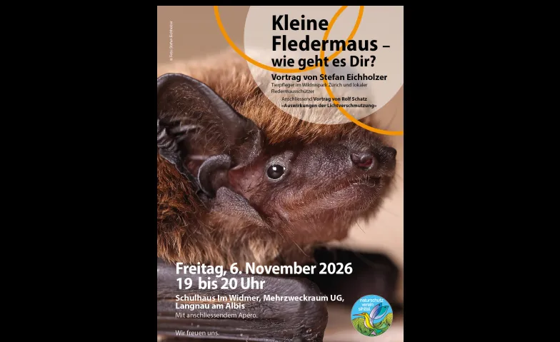 Vortrag «Kleine Fledermaus – wie geht es Dir?“