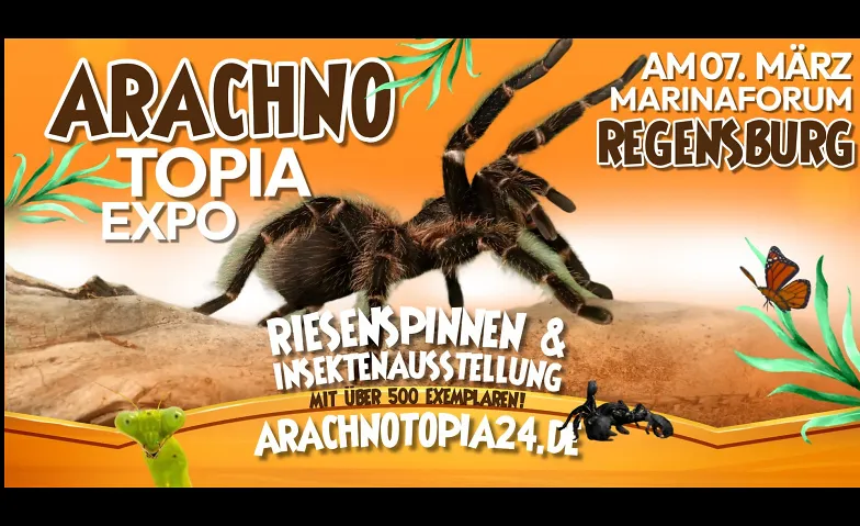 Arachnotopia - Spinnen & Insektenausstellung Regensburg