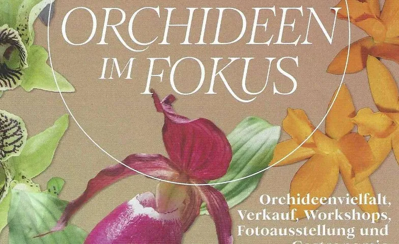 Orchideen im Fokus