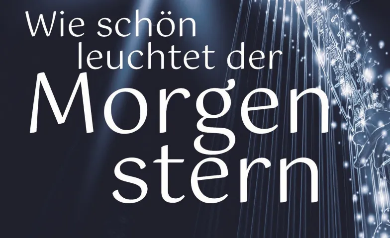 VOCALISTI «Weihnachtskonzert 2026»
