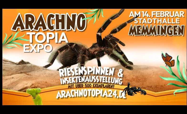 Arachnotopia - Riesenspinnen & Insektenausstellung Memmingen
