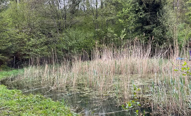Telliwald kennenlernen: Natur, Projekte, Probleme