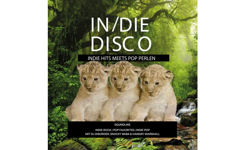 In/die Disco