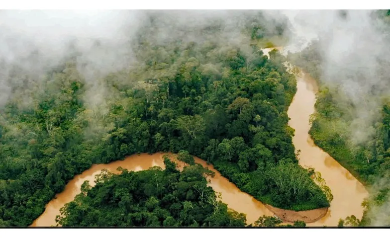 ReEarth: Rights of Nature