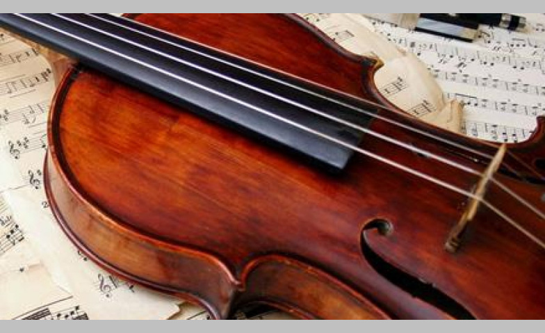 Streichquartett im Fokus