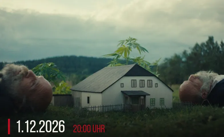 Film: Es ist besser, in der Wildnis verrückt zu werden