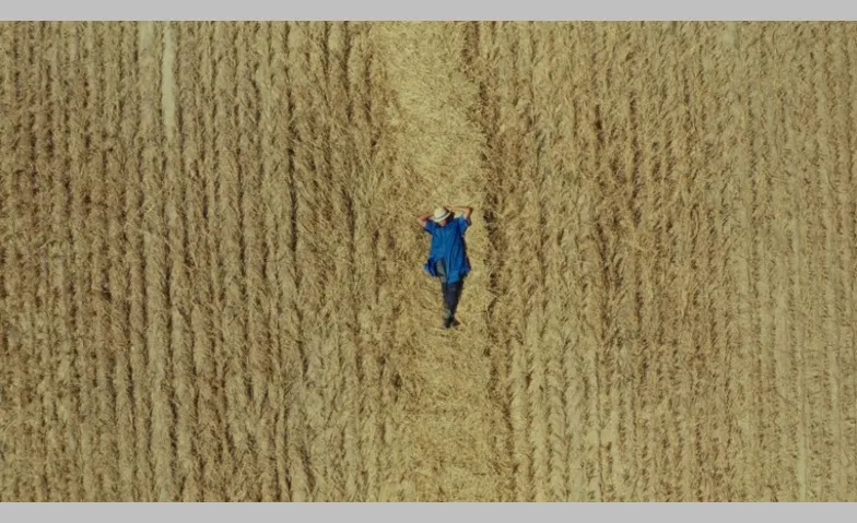 Toxic Harvest