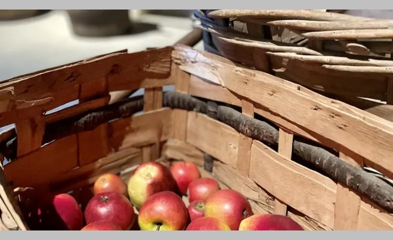Apfel und Saft. Erlebnis zum Mitmachen & Geniessen