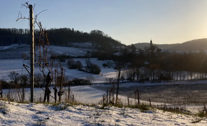 Winter-Weinwandeln