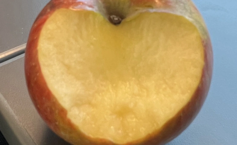 Beiss nicht gleich in jeden Apfel - Steinen/SZ