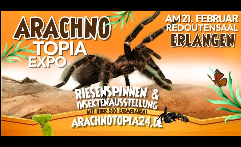 Arachnotopia - Riesenspinnen & Insektenausstellung Erlangen