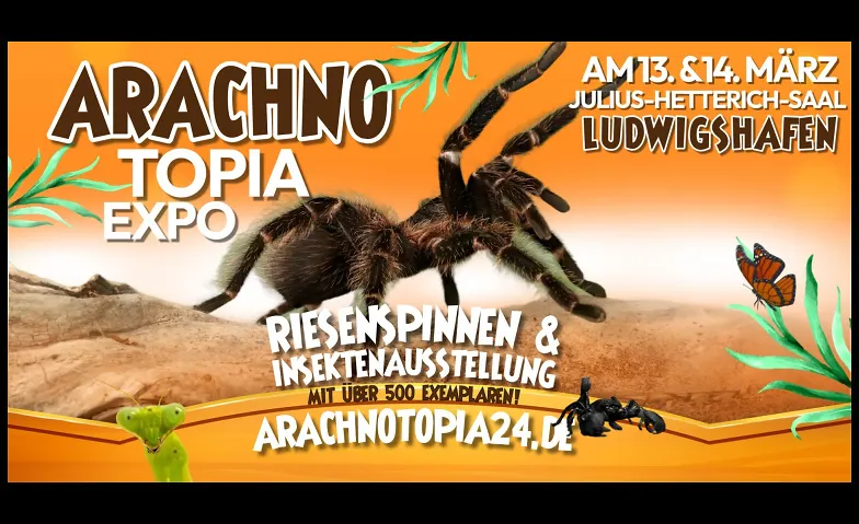 Arachnotopia - Spinnen & Insektenausstellung Ludwigshafen