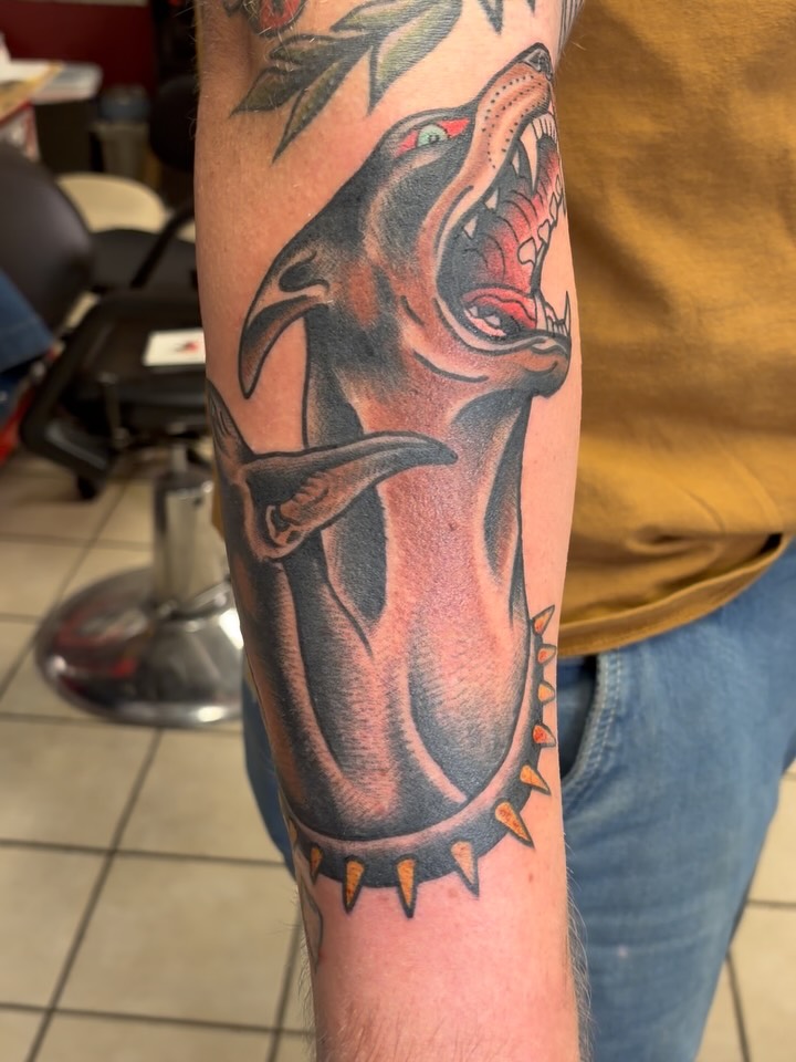 Bold neo-traditional Doberman snarling with spiked collar.