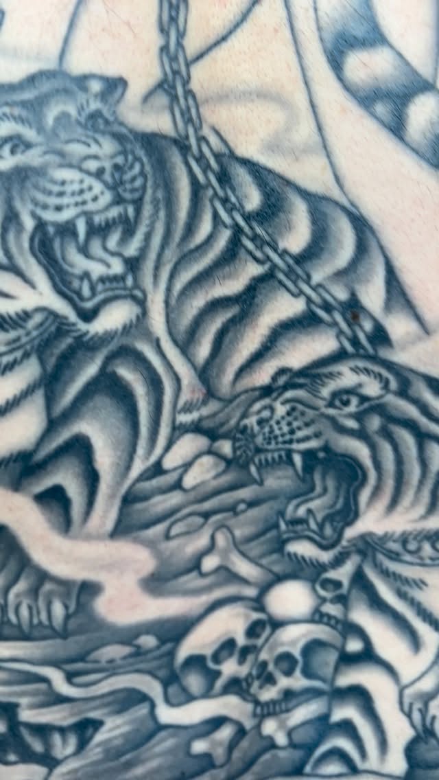 Dramatic grayscale tiger battle with skulls and chains