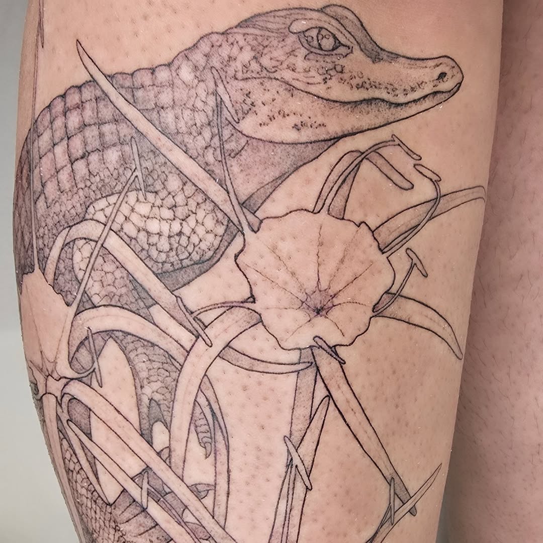 Fine-line alligator with swamp hibiscus and vines on forearm