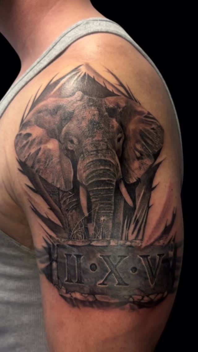 Dramatic black-and-gray elephant with rugged mountain backdrop.