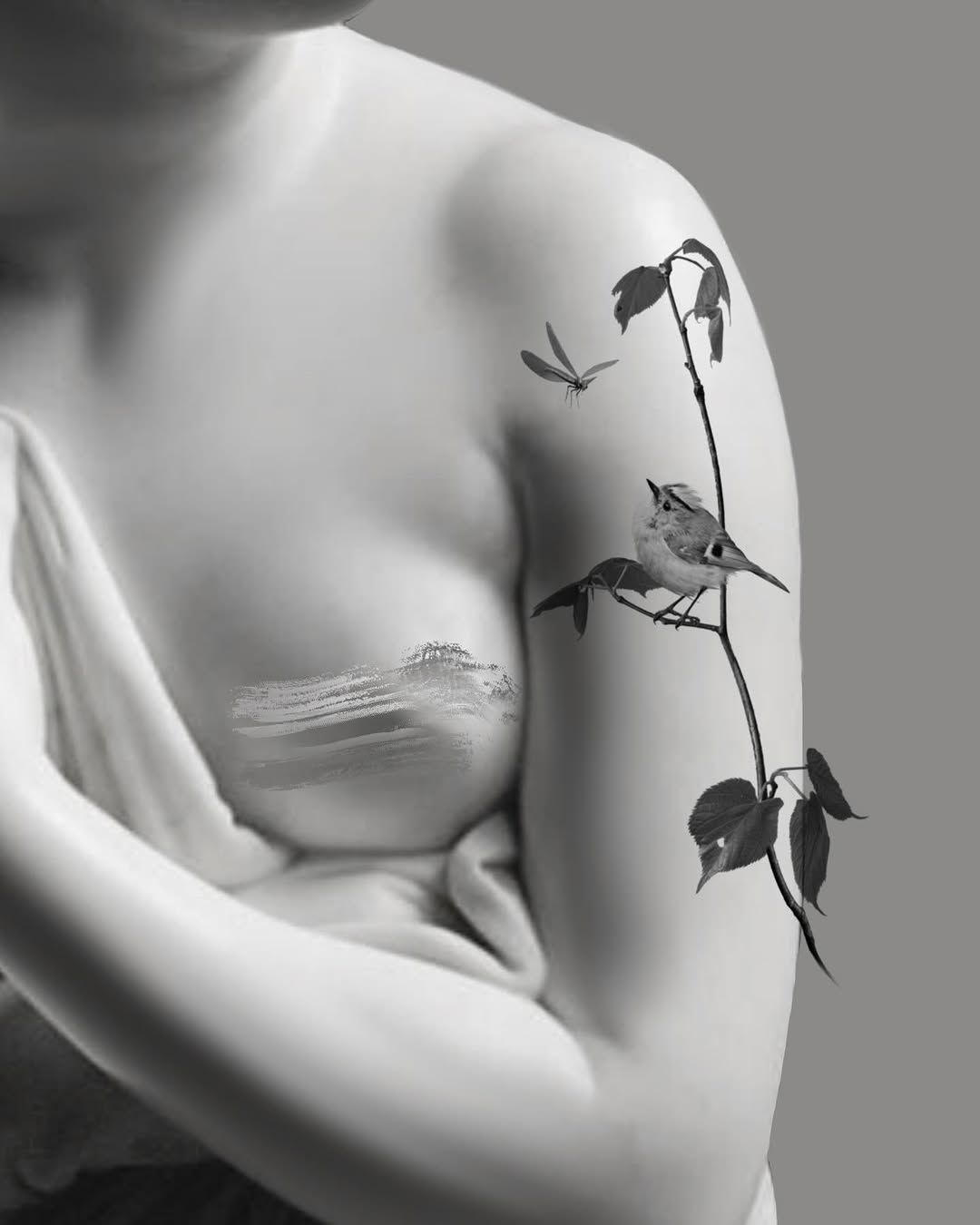 Delicate black-and-gray bird perched on a leafy branch