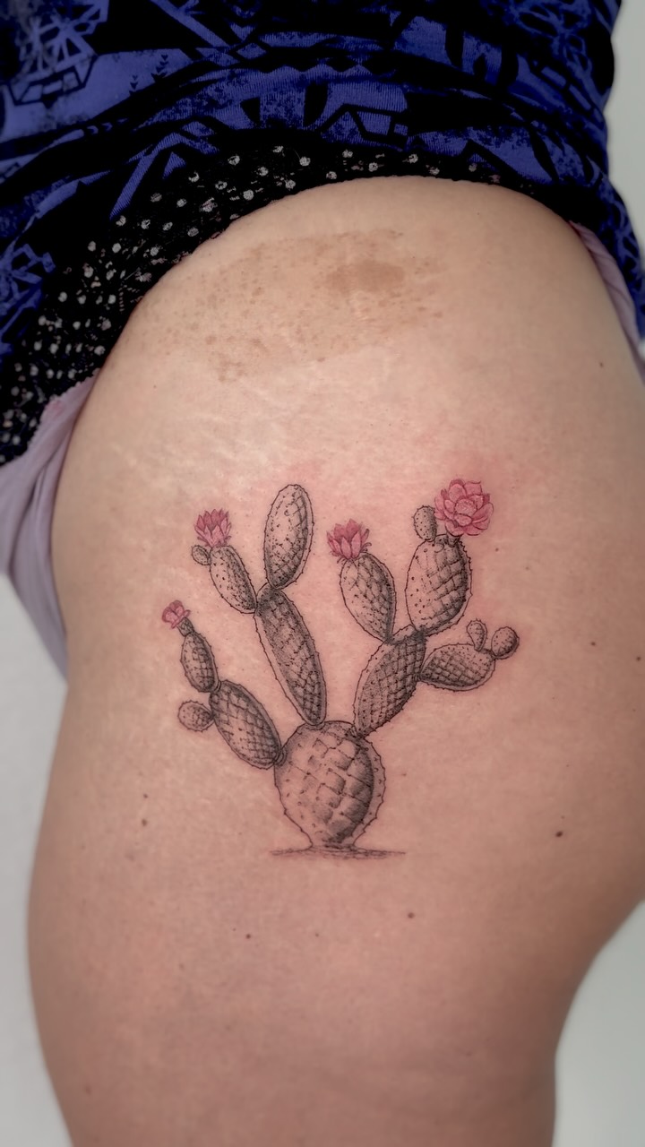 Delicate prickly-pear cactus with pink blossoms, dotwork shading