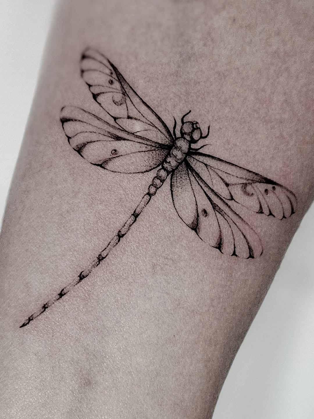 Delicate fine-line dragonfly with intricate wing veining