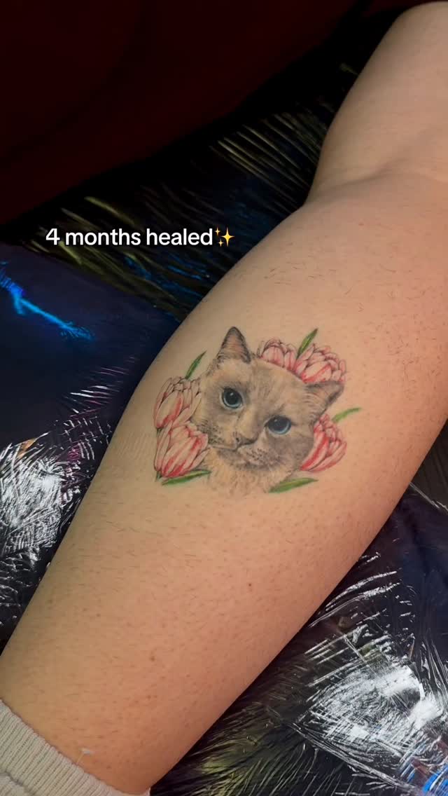 Sweet kitten portrait with a delicate pink floral wreath