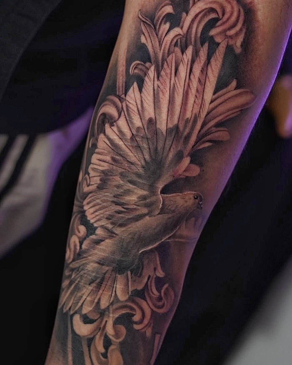 Bold black-and-gray dove soaring through intricate ornamental scrollwork.